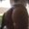 Antalya Escort, Antalya Gerçek Escort Ilan Sitesi — Escort…